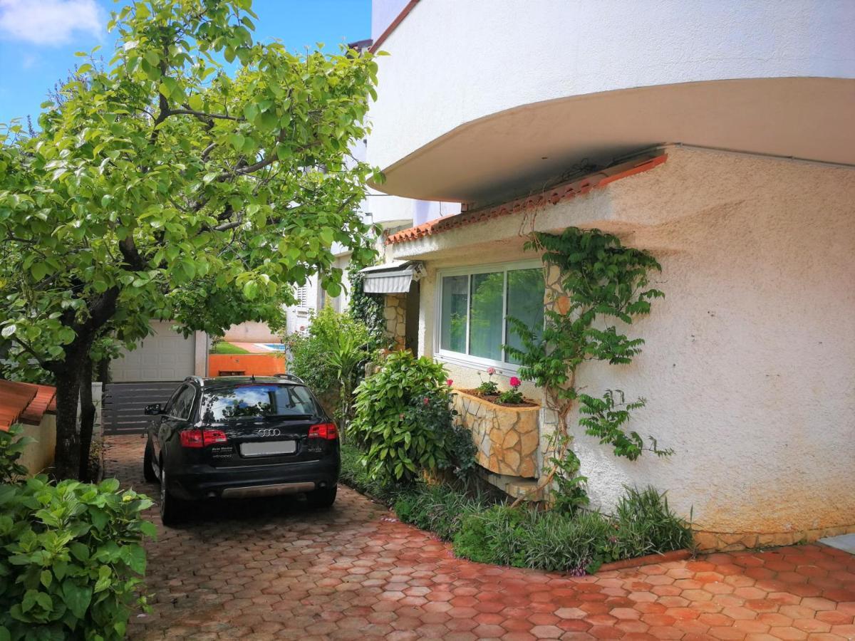 Apartment Bilic With Garden & Swimming Pool - 50m From The Pjescana Uvala