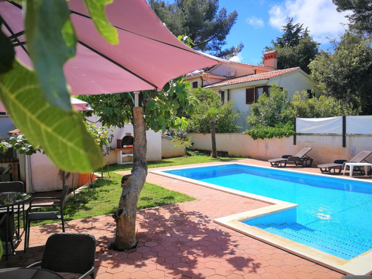 Bilic With Garden & Swimming Pool - 50m From The Apartment